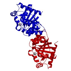 Image of CATH 4e03