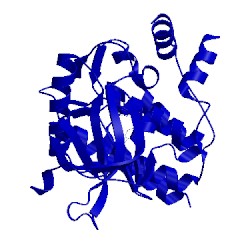 Image of CATH 4e20