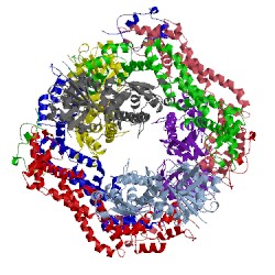 Image of CATH 4eah