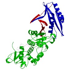 Image of CATH 4eaj