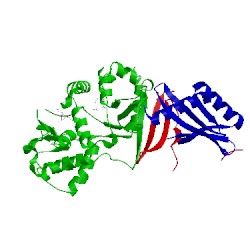Image of CATH 4eal