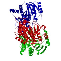 Image of CATH 4ear