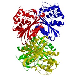 Image of CATH 4ebn