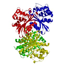 Image of CATH 4ebp