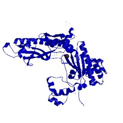Image of CATH 4ecy