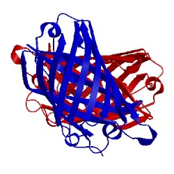 Image of CATH 4edo