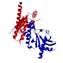 Image of CATH 4ef4