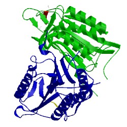 Image of CATH 4eha