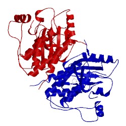 Image of CATH 4ehg