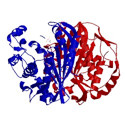 Image of CATH 4ein