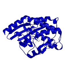 Image of CATH 4ek8