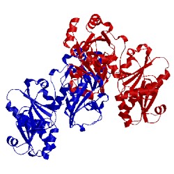 Image of CATH 4el1