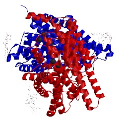 Image of CATH 4ene