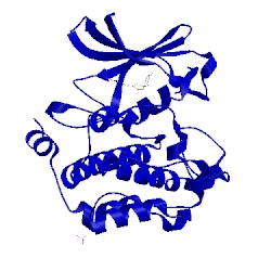 Image of CATH 4enx