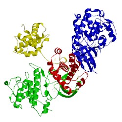 Image of CATH 4eoi
