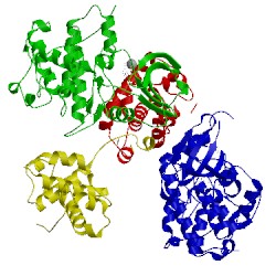 Image of CATH 4eol