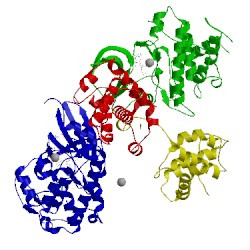 Image of CATH 4eom