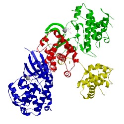 Image of CATH 4eoq