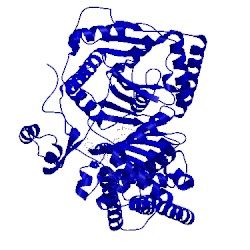 Image of CATH 4eph