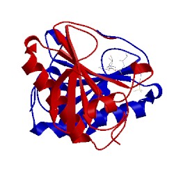 Image of CATH 4eqe