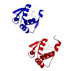 Image of CATH 4ere