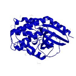 Image of CATH 4erw