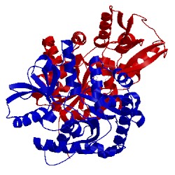 Image of CATH 4esx