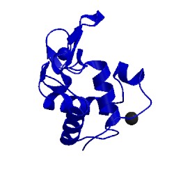 Image of CATH 4etc