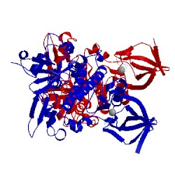 Image of CATH 4eut