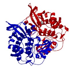 Image of CATH 4euu