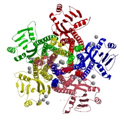 Image of CATH 4ev6