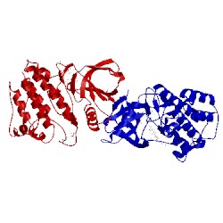 Image of CATH 4ewh