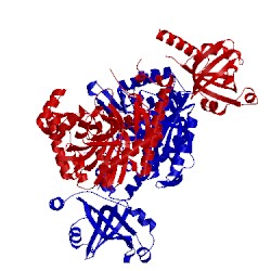 Image of CATH 4ex5