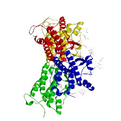 Image of CATH 4exn