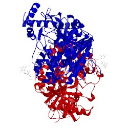 Image of CATH 4ey4