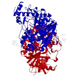 Image of CATH 4ey7