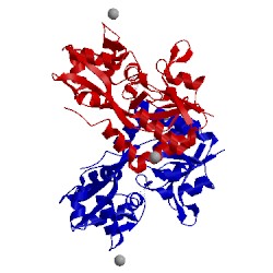 Image of CATH 4f31