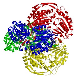 Image of CATH 4f3x