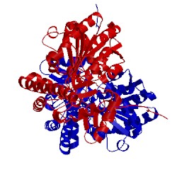 Image of CATH 4f5i