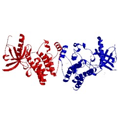 Image of CATH 4f64