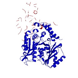 Image of CATH 4f6r