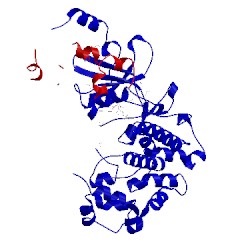 Image of CATH 4f6s