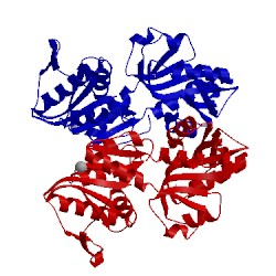 Image of CATH 4f8e