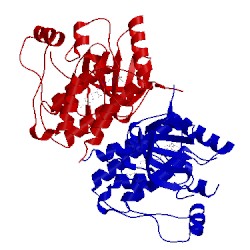 Image of CATH 4fc0