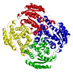 Image of CATH 4fc6