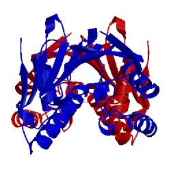 Image of CATH 4fcp