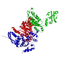 Image of CATH 4fcv