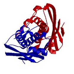 Image of CATH 4fdf