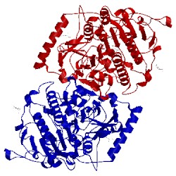 Image of CATH 4fdi