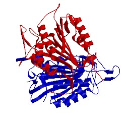 Image of CATH 4fdl
